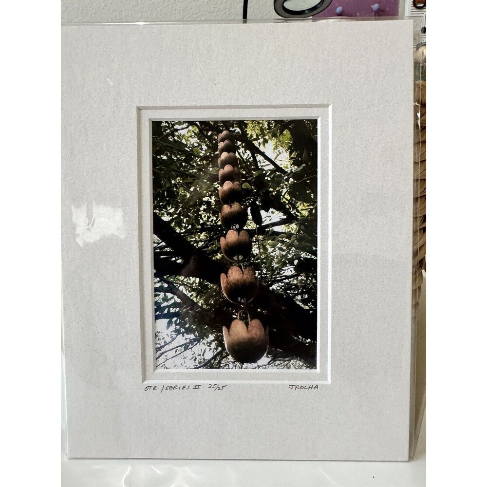 Original Photography 5X7 Picture Double Matted For 8X10 Frame